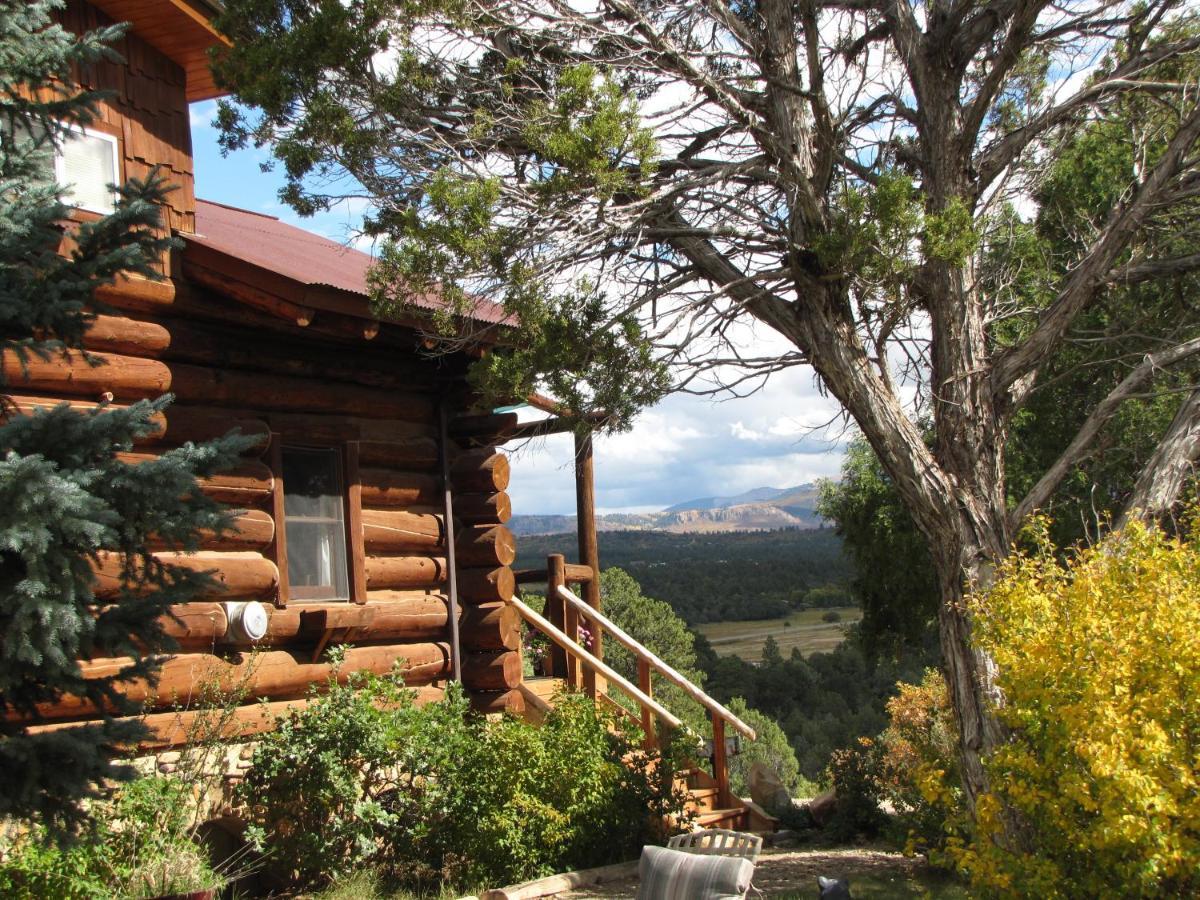 Starry Nights Ranch Bed & Breakfast Mancos Екстер'єр фото