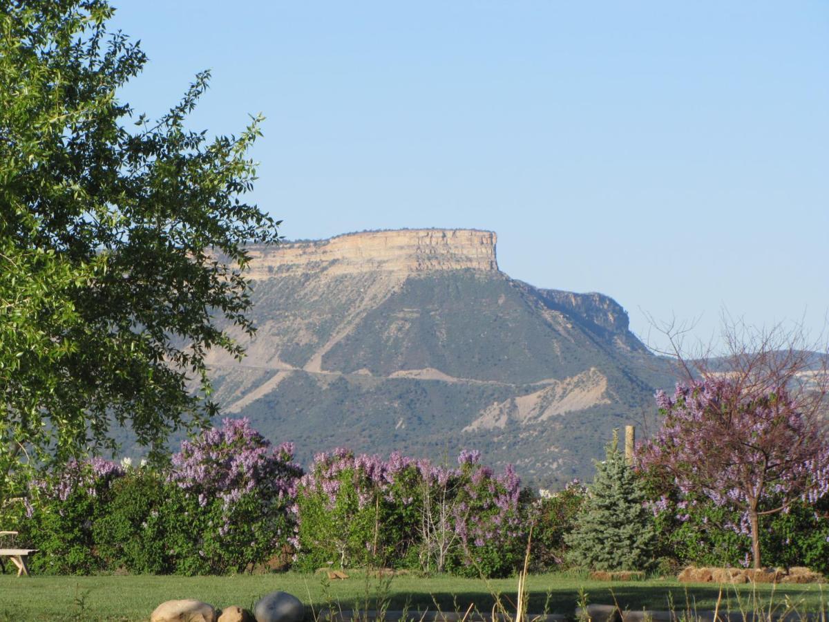 Starry Nights Ranch Bed & Breakfast Mancos Екстер'єр фото